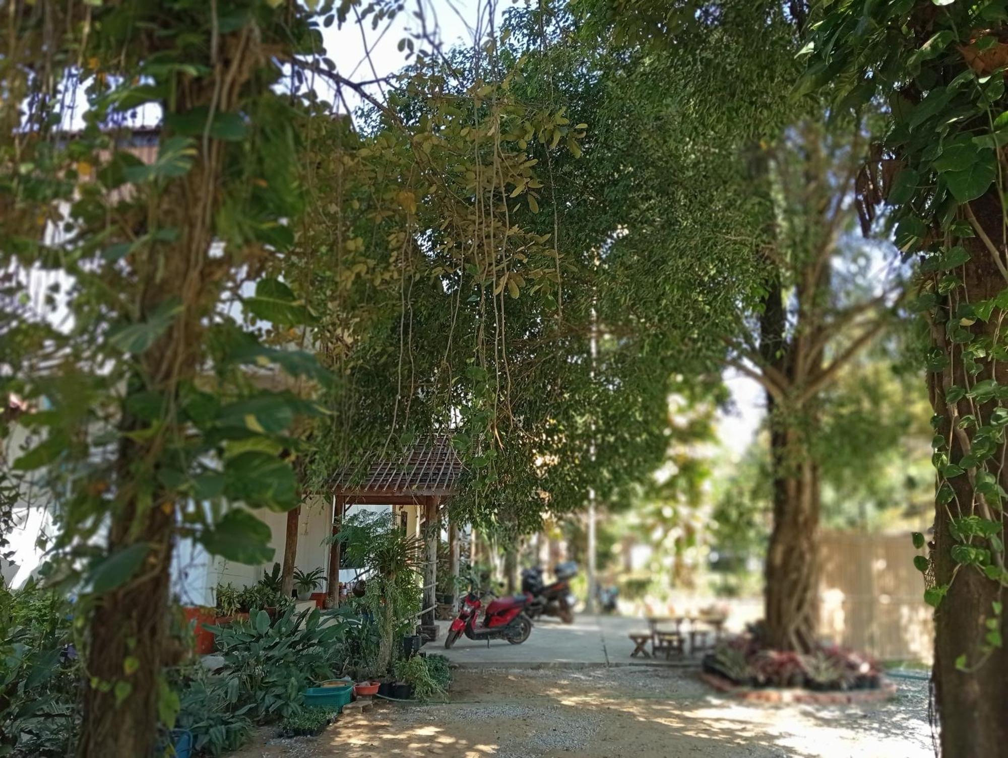 Vangvieng Ruby'Homestay Vang Vieng Exterior foto